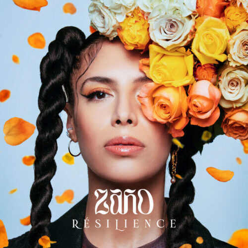 「Résilience レセィリアンス（回復力）」